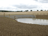 Infrastructure - Cattle drinking pool