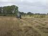 Maintenance - Wildflower meadow cut and collect