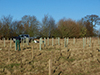 Planting - Bury St Edmunds 2014