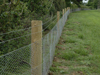 Fencing - Rabbit Fencing