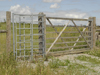 Fencing - Kissing gate