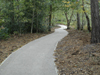 Infrastructure - Woodland path, Pretty Corner, Sheringham, Norfolk