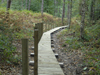 Infrastructure - Timber walkway, Pretty Corner, Sheringham, Norfolk