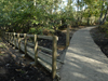 Infrastructure - Timber walkway, Pretty Corner, Sheringham, Norfolk