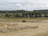 Maintenance - Grass cutting, Jeskyns Farm