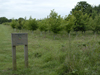 Planting - Fordham Hall Estate, Colchester