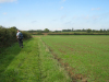 View West on old farm track - Before