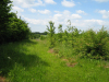 View West on old farm track - After